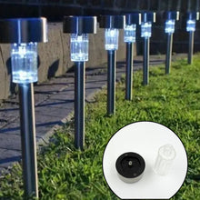 Solar LED Spike Lights for Garden & Pathway Decor (2 Pc Set)